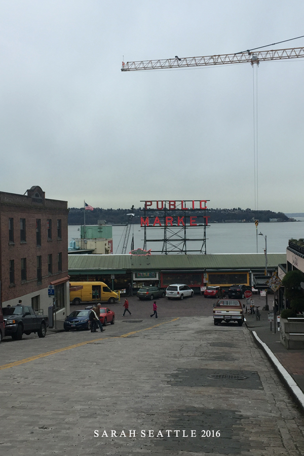 为了这束光，我们一路向北追逐而至...