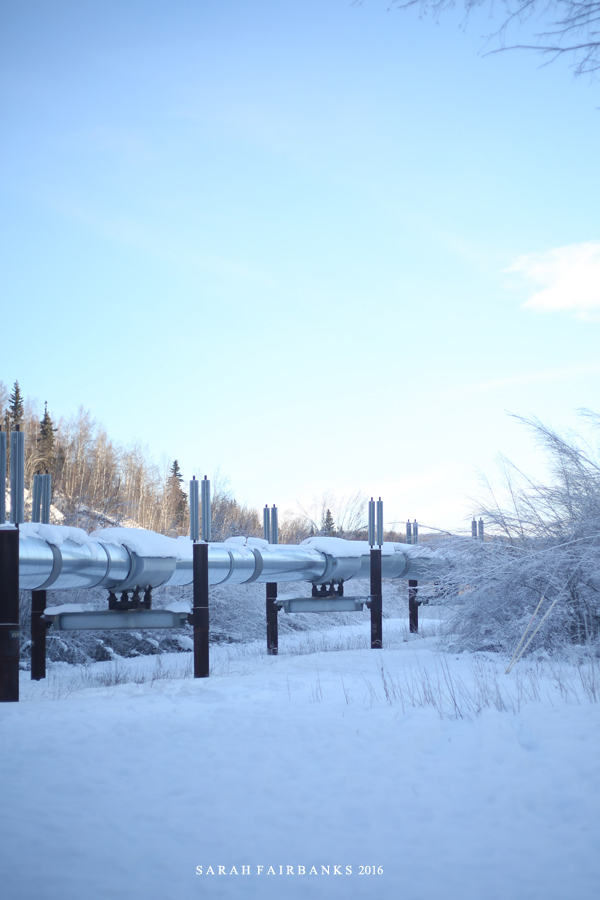 为了这束光，我们一路向北追逐而至...