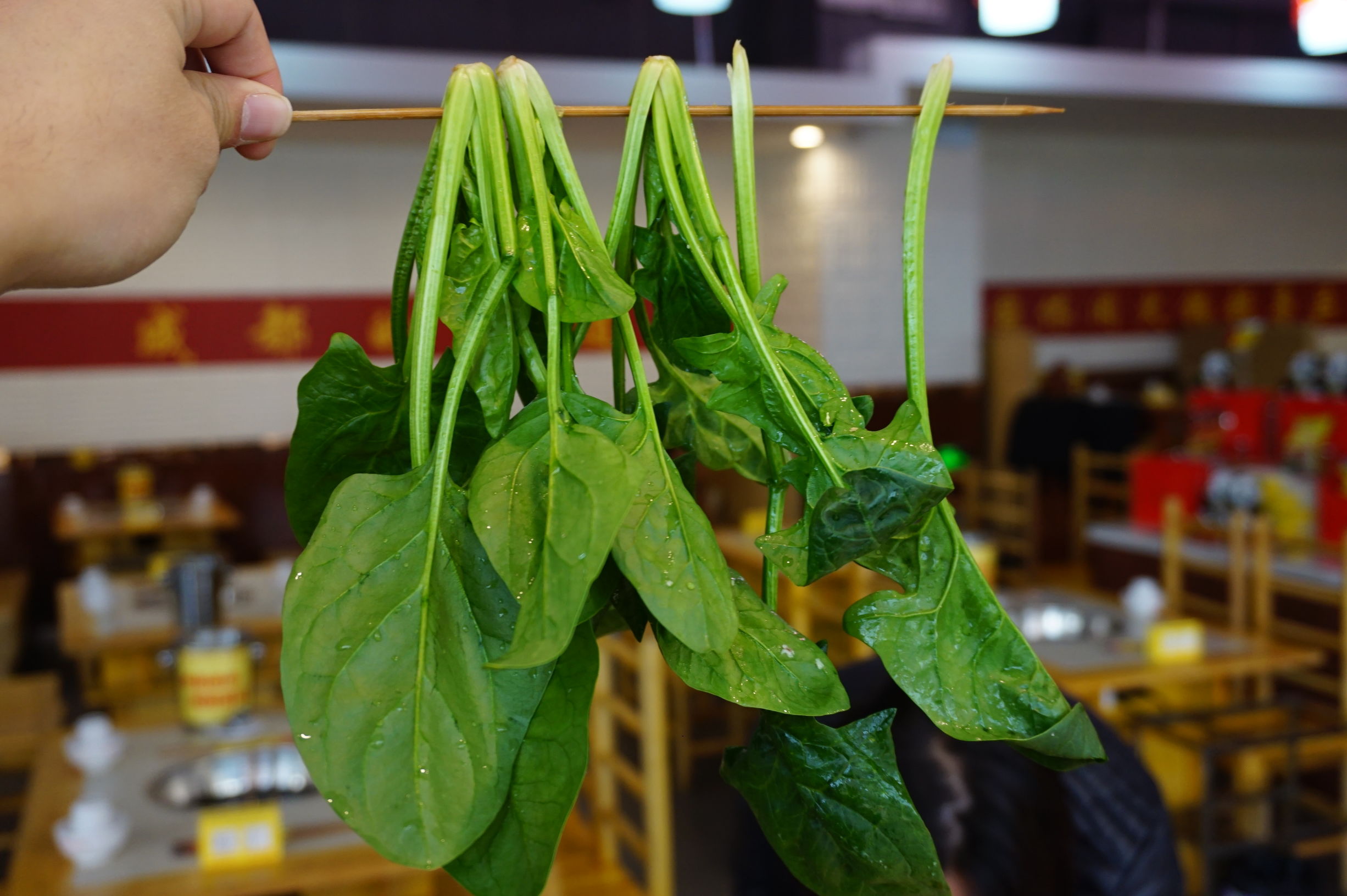 袁记串串香投入70万多久回本,成华区袁记串串香