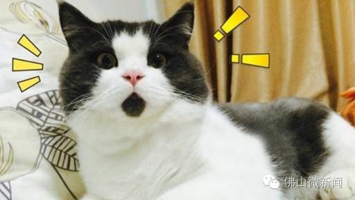 请立刻关闭445端口,最近流行的445勒索病毒