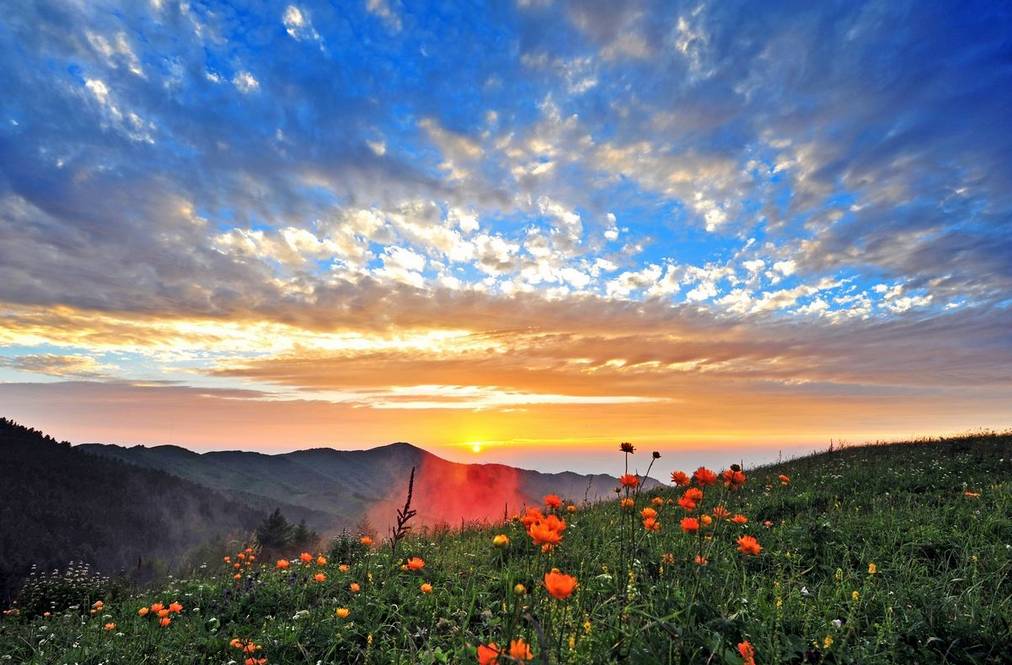 旅游优惠两日游,旅游日免费河北