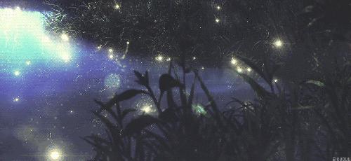 淘宝商家禁售公告,淘宝发布禁售信息防封