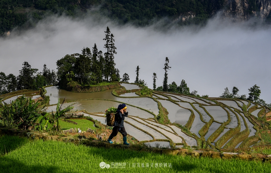 雨过天晴云破出自哪里,雨过天晴云破出处