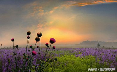 说说“三”，道道“四”，久而久之，你就长大了，你就豁达了