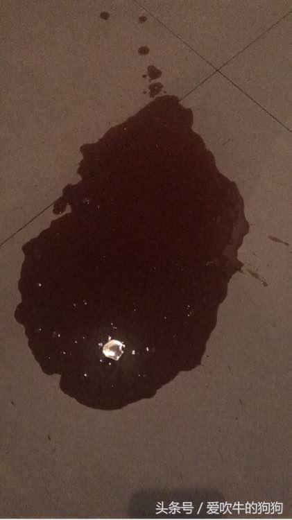 细小治愈全过程,细小治愈后的后遗症