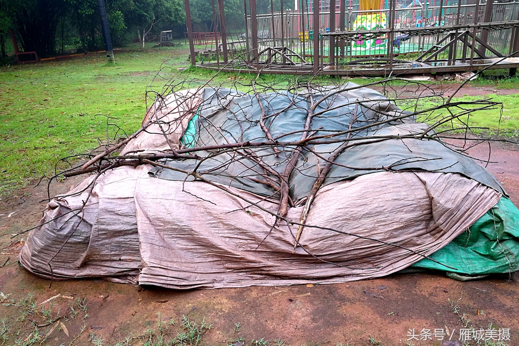 衡阳市平湖公园,衡阳平湖公园