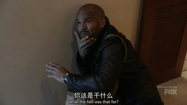 一口气看完经典美剧越狱第五季,越狱第五季感悟