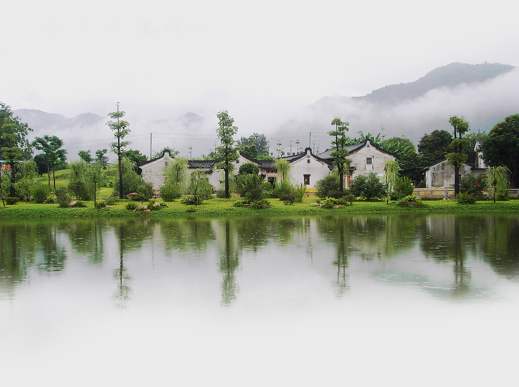 珍禽异兽现状图片,珍禽异兽种类繁多