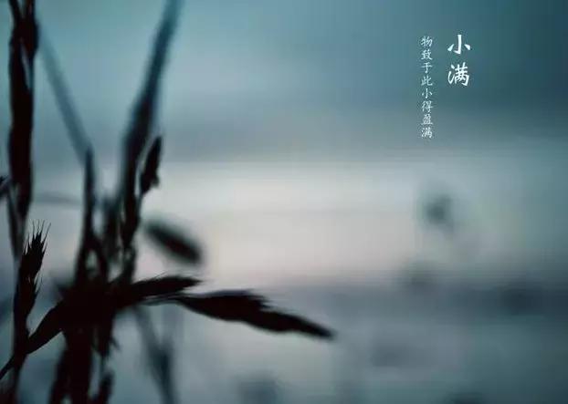 灏忔弧鏃惰妭鐩涘灏嗚嚦,浠婃棩灏忔弧鐗╃洓鍒欏敖