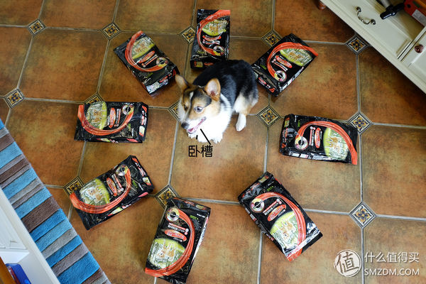 目测托米你要火!丝倍亮成犬全价托米亲吃评测以及托米的成长史