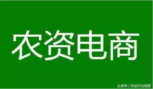 刘强东、马云都避谈，农资电商问题频频，未来之路如何走？