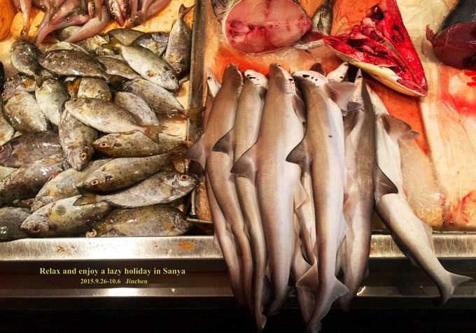 三亚慢生活一天,三亚旅游攻略酒店美食