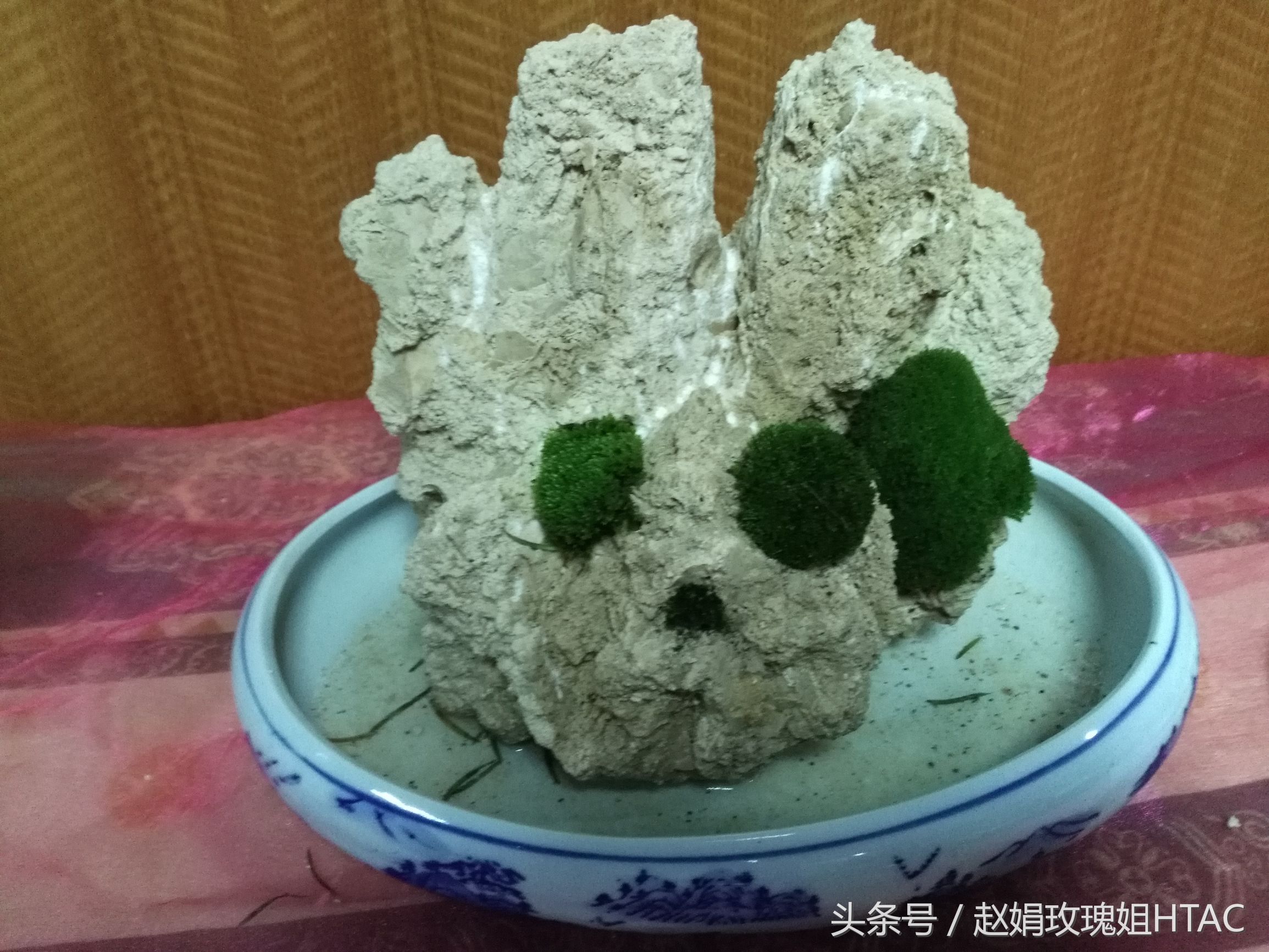 花心思精品老桩盆景,小微型吸水石盆景制作方法图解