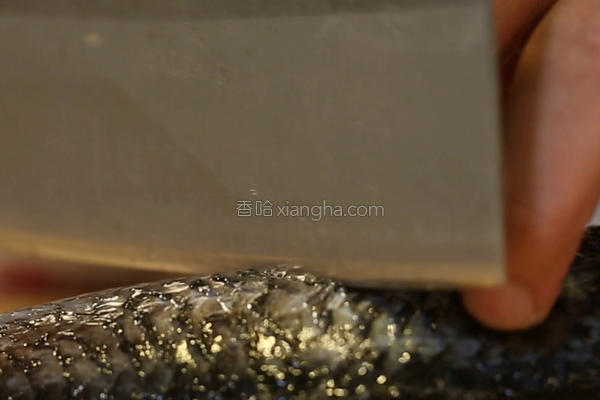 鱼肉怎么做不腥不老口感滑嫩？记住6个诀窍，放心吃！
