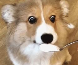 乳酸菌饮料属于奶吗,乳酸菌饮料是酸性含乳饮料吗