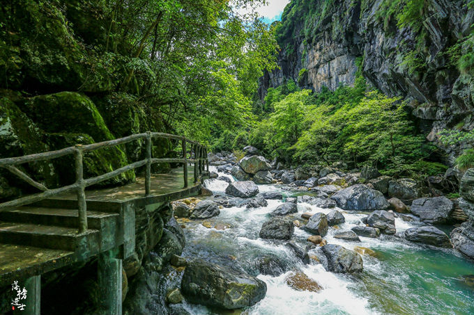 哪儿有原始森林拍照的景区,冬天适合拍照的原始森林
