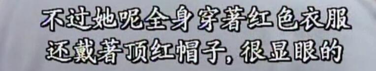 刑事侦缉档案红衣女郎杀人案,刑事侦缉档案红衣女郎男扮女装