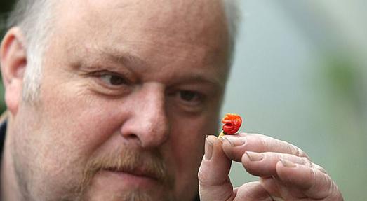 吃魔鬼辣椒吉尼斯纪录多少个,吉尼斯世界纪录吃最多魔鬼辣椒