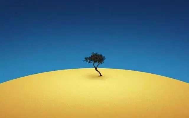 社会学是冷门吗前景怎样,社会学是冷门专业吗