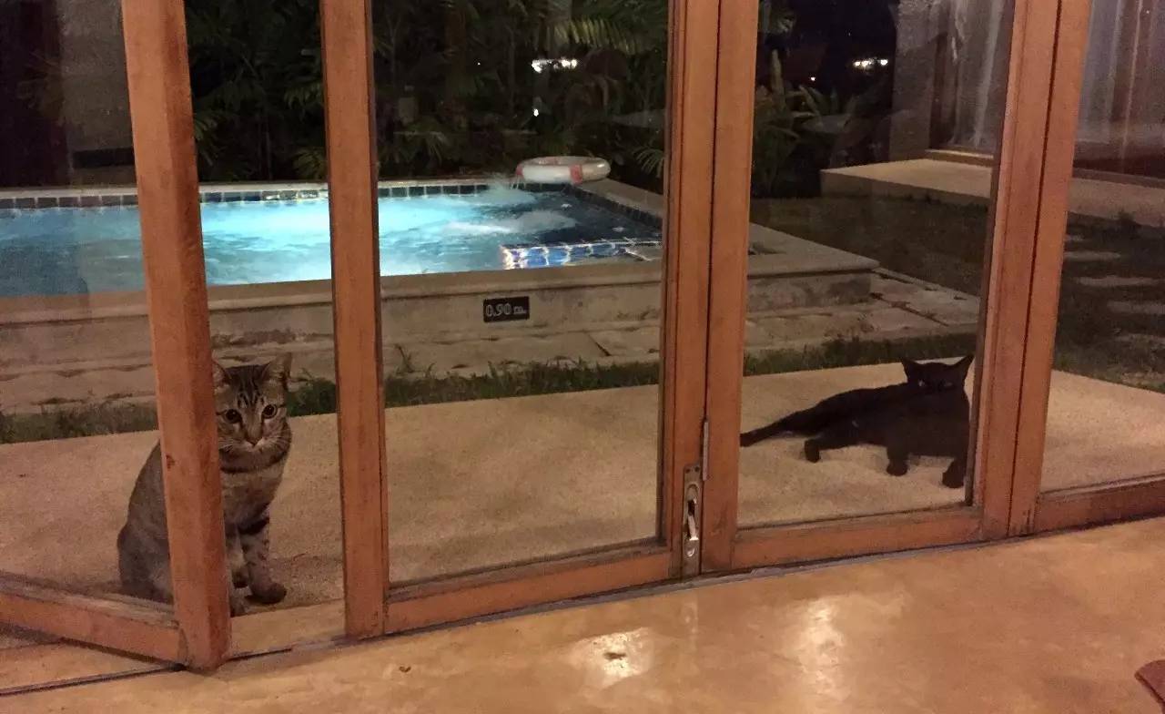 女性独自去旅行遇险,中国女孩独自去泰国遇到危险