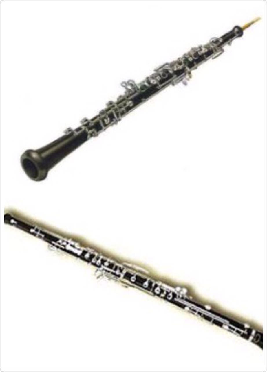 中国军乐为什么只有管乐器,木管乐器的介绍