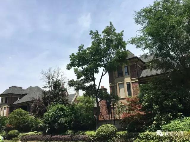 板桥小区怎么样啊,板桥比较好的新小区