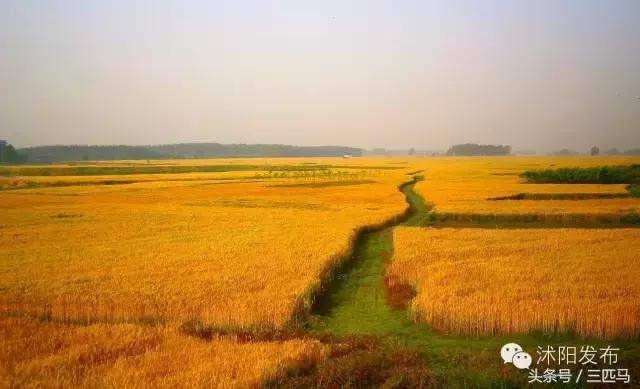 你好!我叫沭阳,这是我的简历,请多多指教!