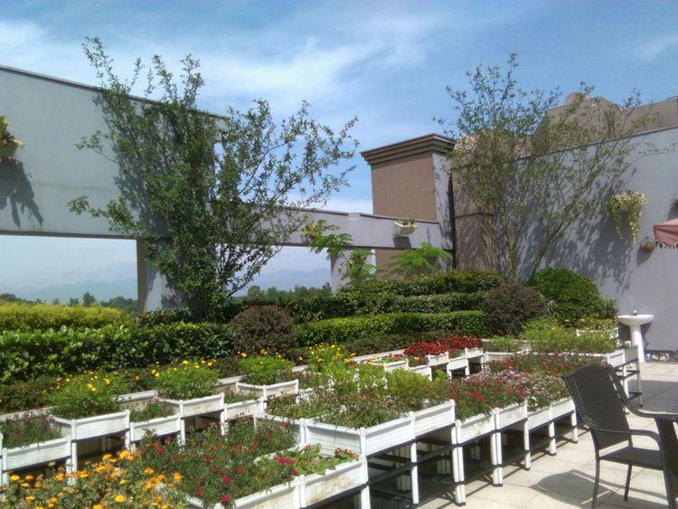 厉害了！参加一盘“亲康关爱计划”，够你在朋友圈炫一年！