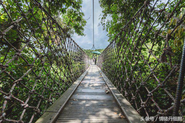三亚美高梅度假酒店附近景点,三亚美高梅度假酒店日落