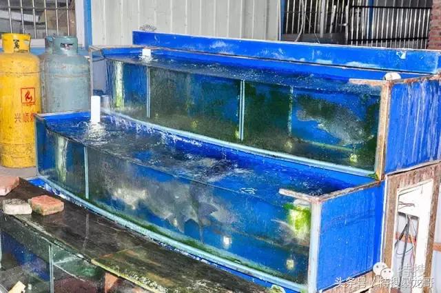 中山南头烧鹅网红美食排行榜,中山南头最好吃的烧鹅