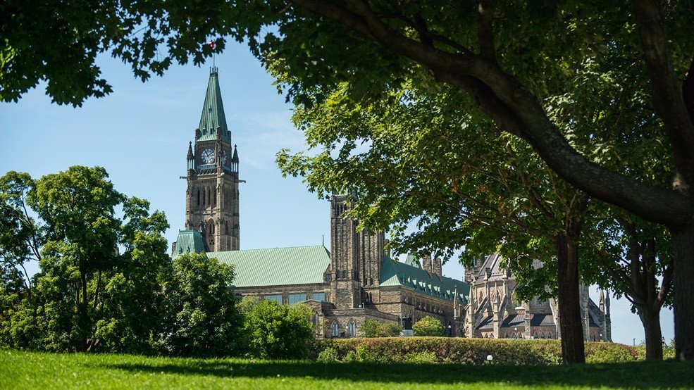 渥太华之旅,纽约时报精读