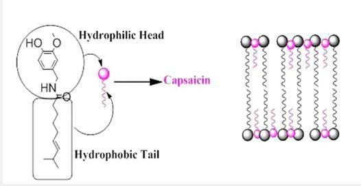 癌症早期治疗器械,最新治疗癌症的方法