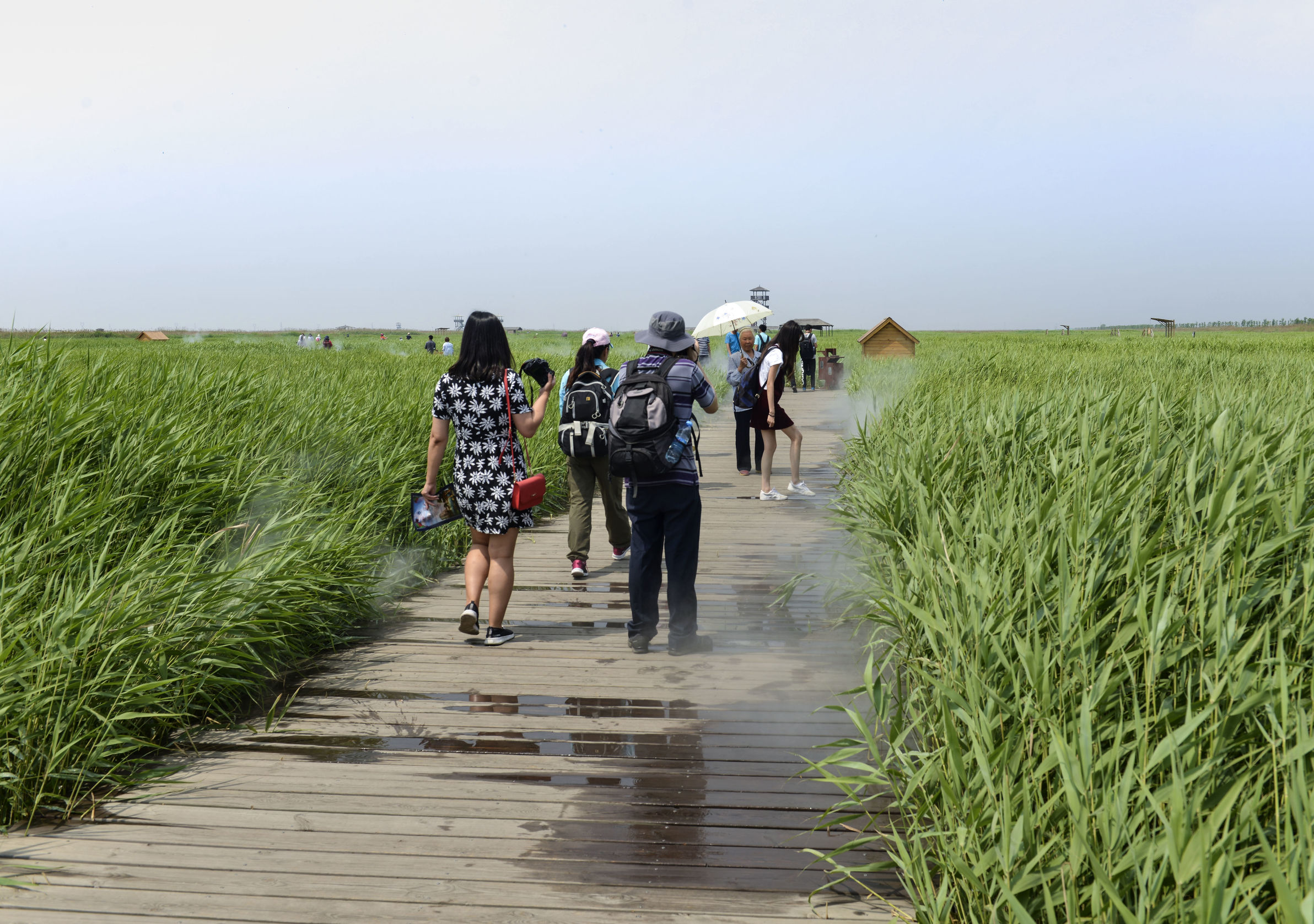 曹妃甸曹妃事件,曹妃甸区曹妃