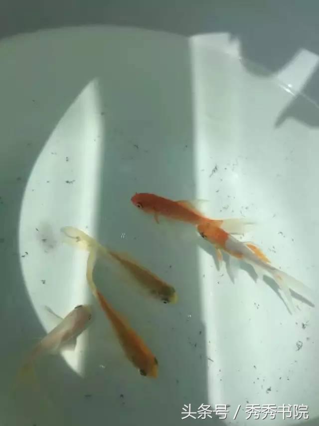 知何曰长知常曰明什么意思,复命曰常知常曰明什么意思