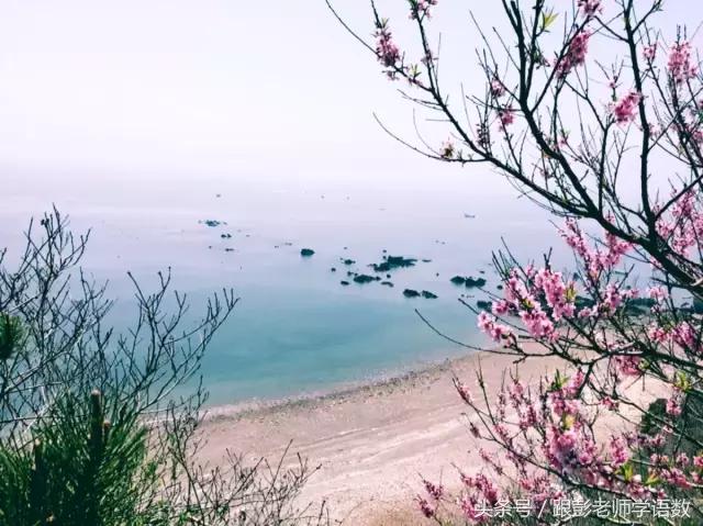 海子的诗全集经典语录,海子的诗从今天起做一个幸福的人