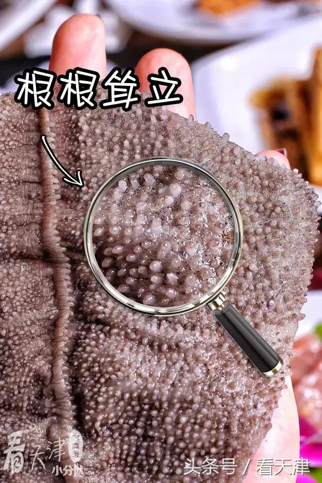 美蛙鱼头火锅2人,天津滨海新区美蛙鱼头火锅