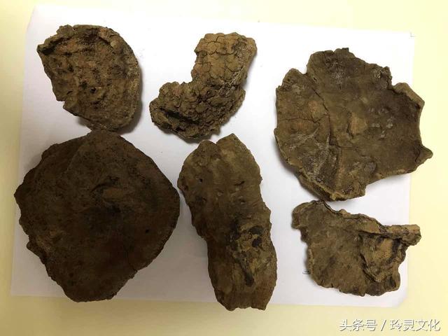 假的越南黑色土沉香,顶级沉香精品图片大全