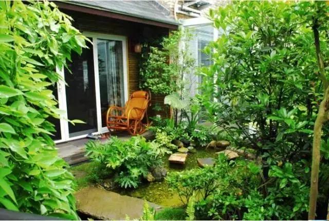 庭院种什么植物风水好,庭院植物风水大全