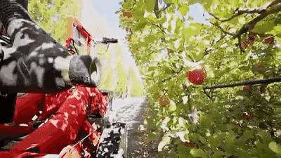 苹果收购人工智能初创公司,苹果收购谷歌