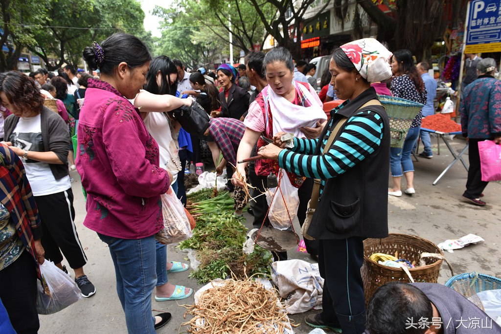 神奇的“黑根”,德昌端午节寻常百姓家药膳必备
