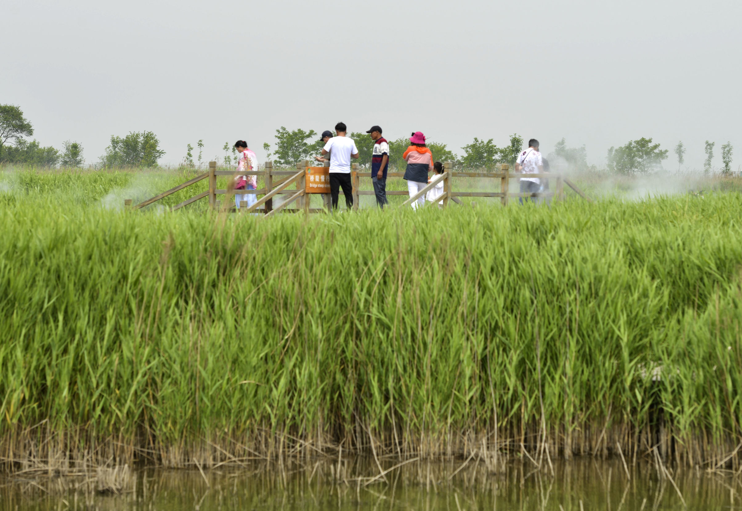 曹妃甸曹妃事件,曹妃甸区曹妃