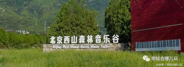 一次薰衣草之旅是如何变成采摘农家乐的?