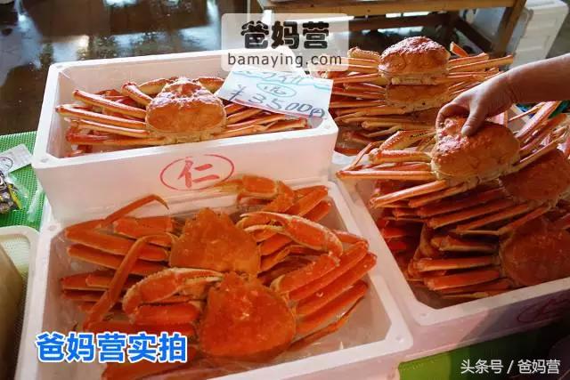 带娃出海邮轮行旅途soeasy,带小孩坐游轮旅行需要带什么