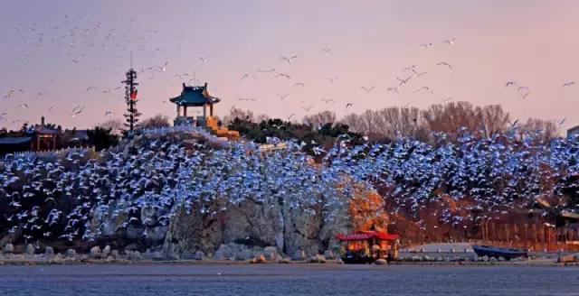 秦皇岛有象征爱情的地方吗,秦皇岛最浪漫的地方