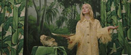 19岁爆红好莱坞女星,好莱坞巨星戛纳电影节红毯