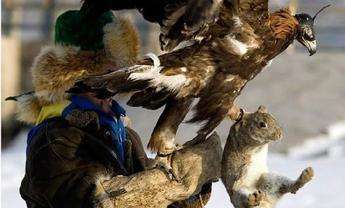 北京土话集,北京土话完整版