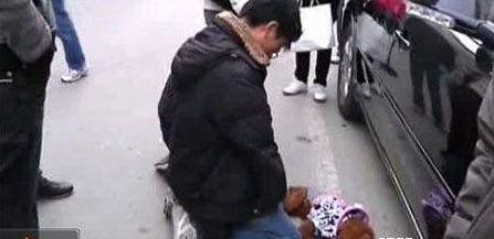 开车撞死狗了要赔偿吗,机动车撞死狗要赔钱吗