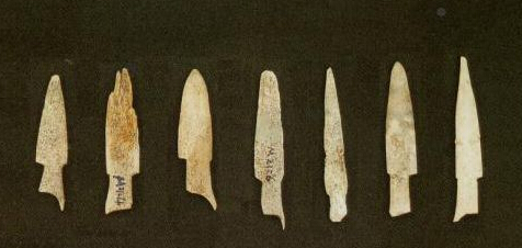 7000年前惨死的少女,7000年前惨遭杀害的少女