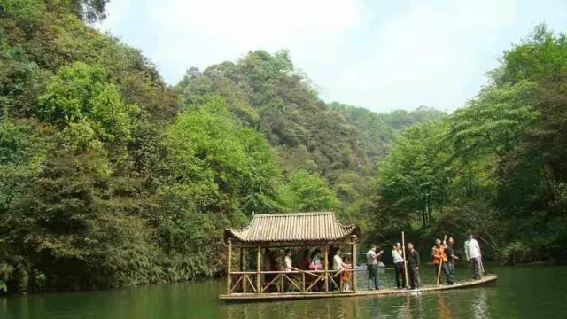 成都周边免费森林自然景点,成都森林避暑好去处
