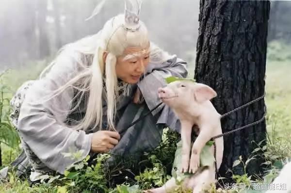 陈红在春光灿烂猪八戒中扮演的谁,陈凯歌老婆陈红春光灿烂猪八戒